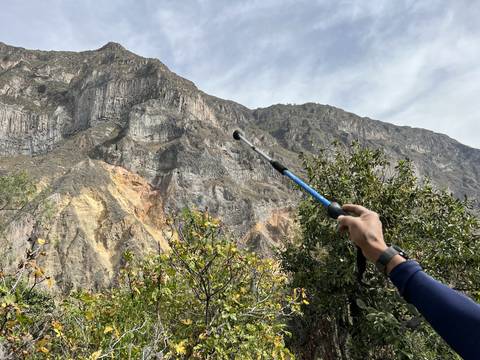 A mountain landscape with vegetation and a trekking pole.