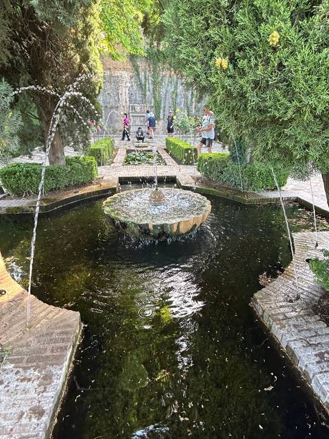Fountain in a garden with lush green surroundings.