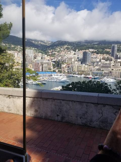 City view with large buildings and harbor in the background.