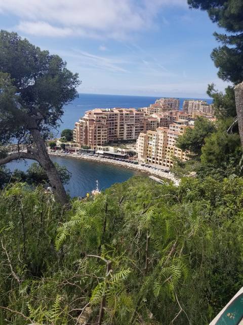 View of buildings along a coastline with trees in the foreground.