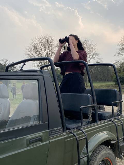 Person standing on a safari vehicle viewing wildlife.