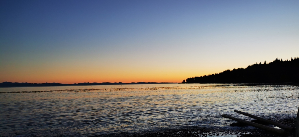Sunset over a calm ocean with silhouetted trees.