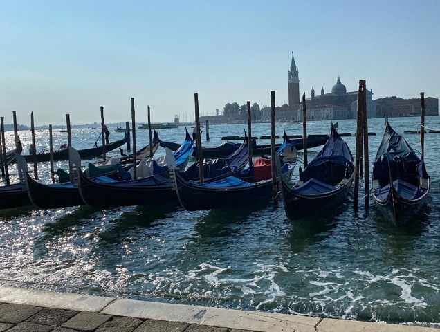 Row of gondolas docked on a canal in Venice.