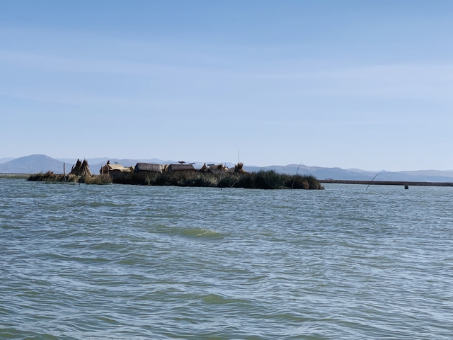 Floating reed islands on a calm lake.