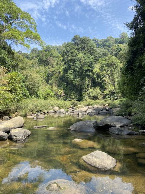 Rocks and trees reflected on calm water.