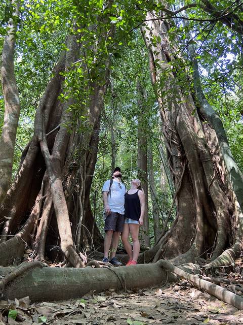 People walking through a dense jungle path.