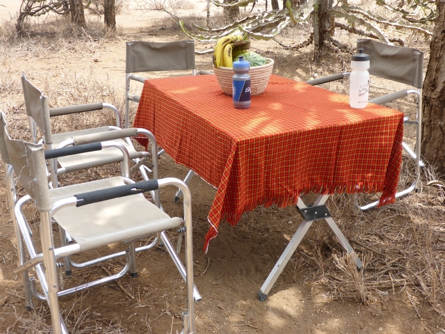 A picnic setup with folding chairs and a table.