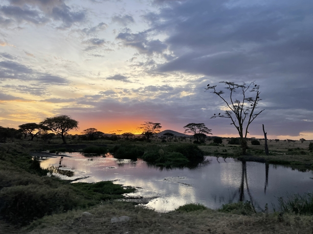 Scenic sunset over a water body with silhouettes of trees.
