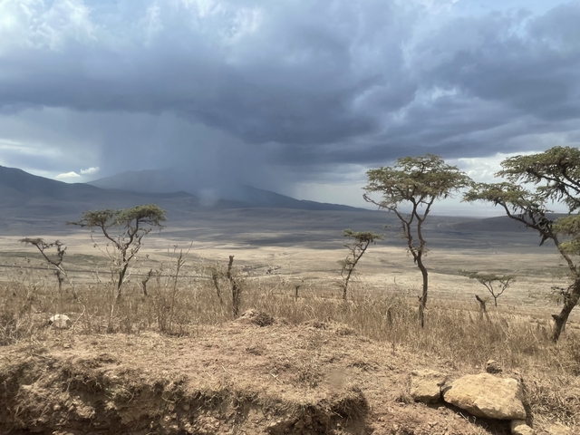 Stormy sky over a dry landscape with sparse trees.