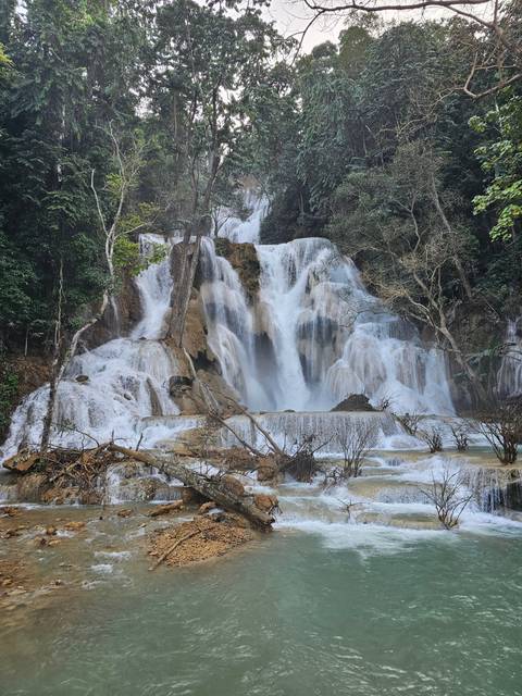Waterfall cascading down rocks into a pool surrounded by trees.