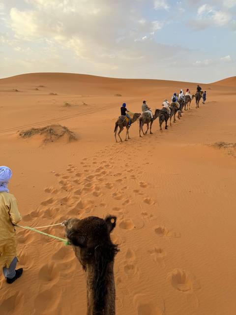 Camel caravan in a desert landscape.