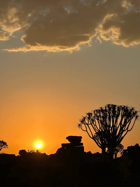Sunset with silhouetted trees and rocks.