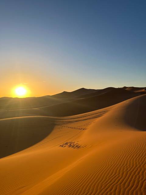Dunes of the Sahara Desert during sunset, casting shadows on the sand.