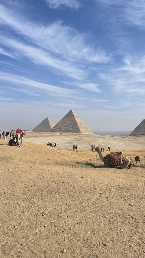 View of the pyramids of Giza with camels and visitors.