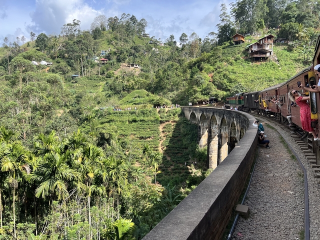 Train traveling over a bridge through lush greenery.