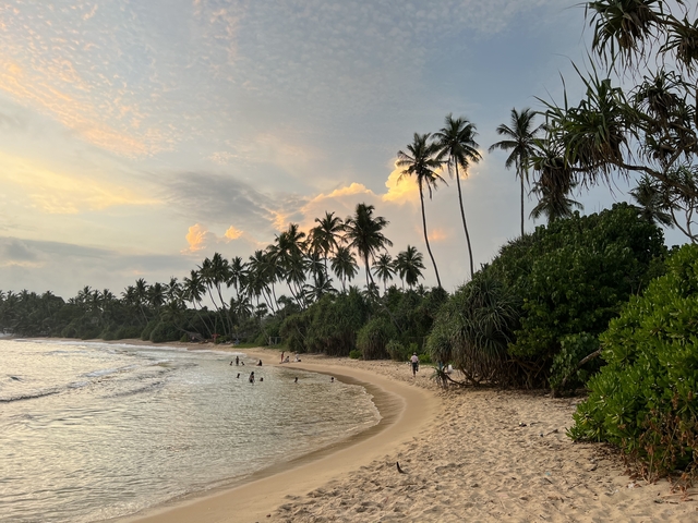 Tropical beach landscape with people and palm trees at sunset.