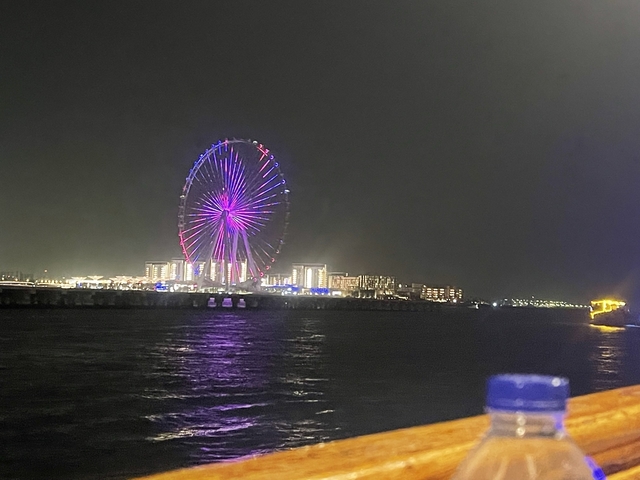 Ferris wheel lit up at night over the water.