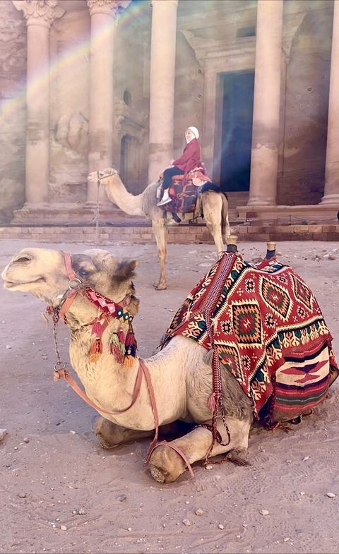 Photo d'avis client sur Le meilleur de la Jordanie