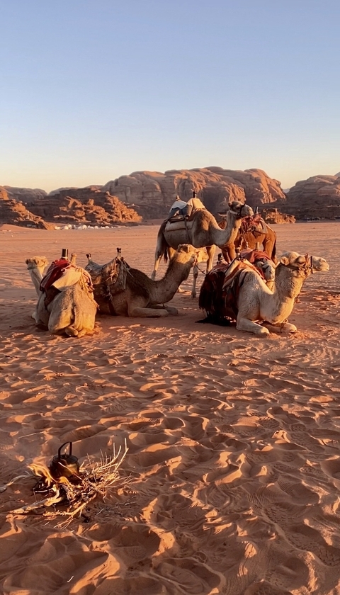 Photo d'avis client sur Le meilleur de la Jordanie