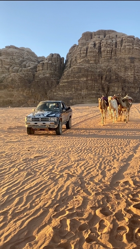 Photo d'avis client sur Le meilleur de la Jordanie