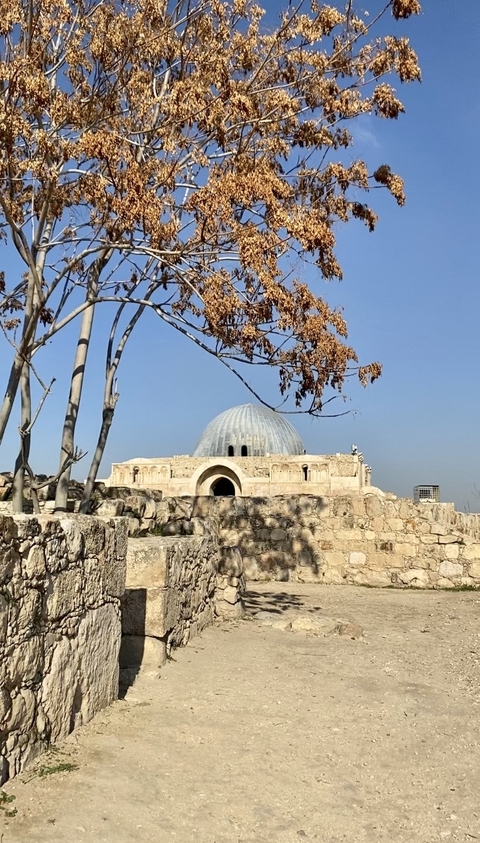 Photo d'avis client sur Le meilleur de la Jordanie