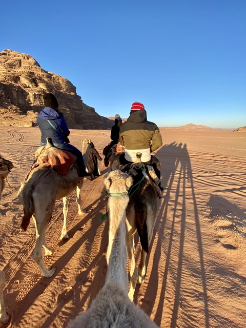 People riding camels in a desert with long shadows.