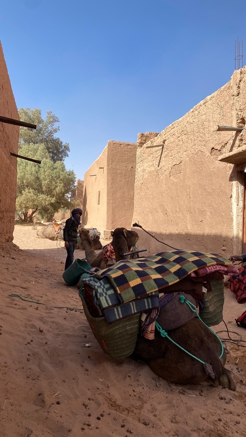 Person with camels in an adobe village.