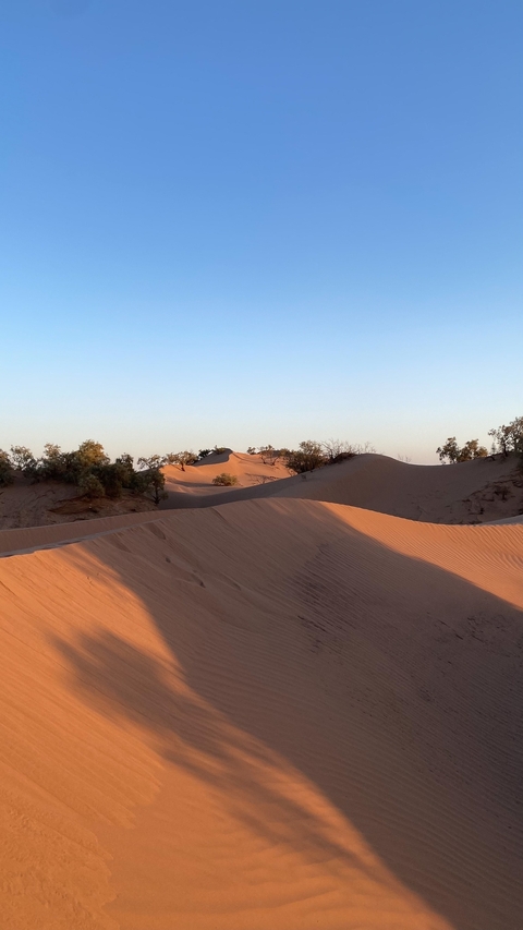 Sand dunes under a clear sky.