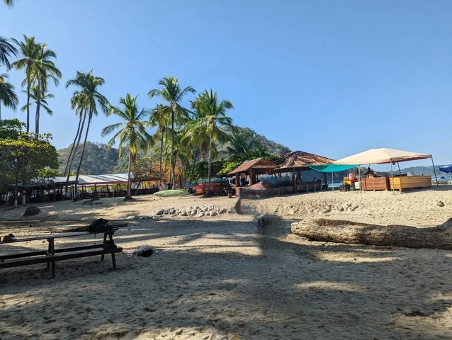 Beach with huts and palm trees in a tropical setting.