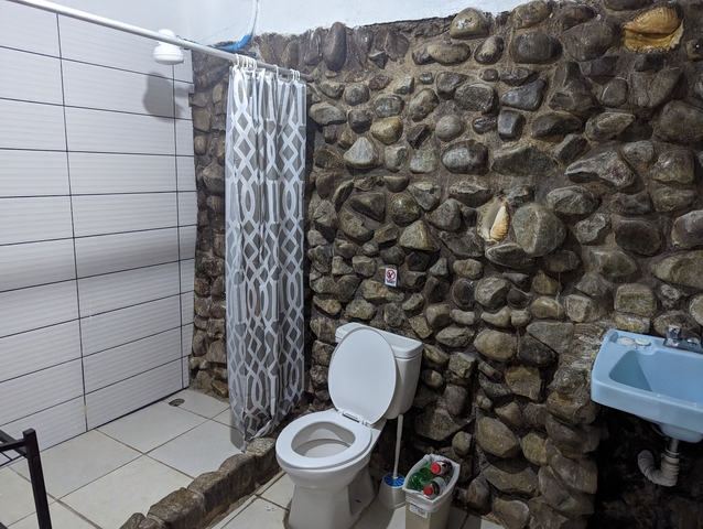 Bathroom with stone wall and toilet.