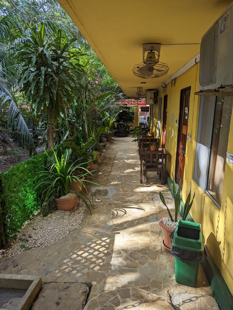 Pathway through a garden with chairs.