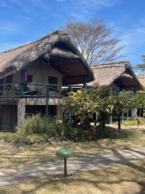 Rustic cabins with thatched roofs surrounded by greenery.
