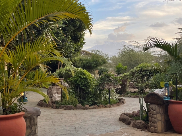 Lush garden setting with a view of a mountain in the background.