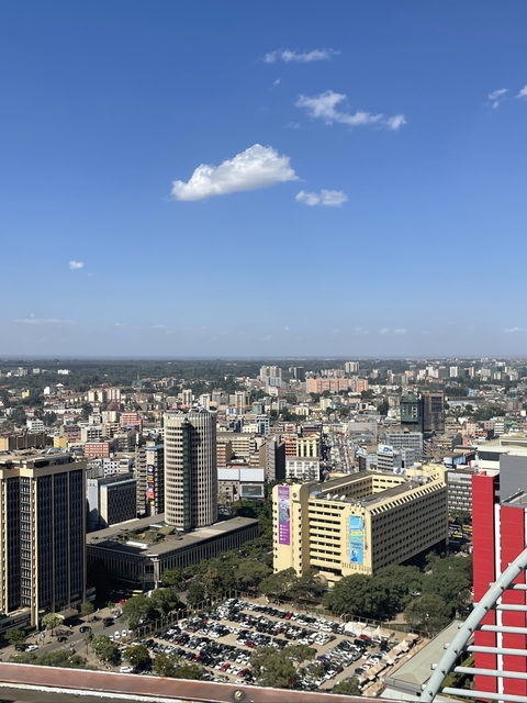 Aerial view of a sprawling city.