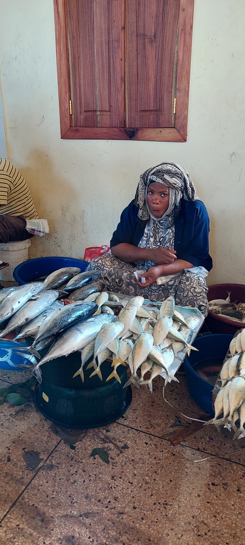 A person sitting at a market stall with fish displayed on the table.