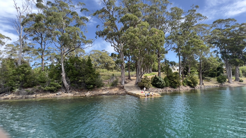 Riverbank with trees and a small dock.