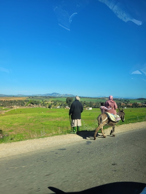 Women and child on a donkey, walking alongside green fields.