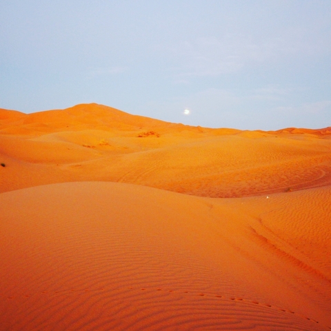 Expansive desert landscape with smooth dunes and a clear sky.