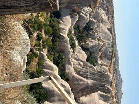 Rock formations with greenery.