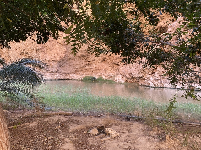 Scenic view of a wadi with greenery and water.