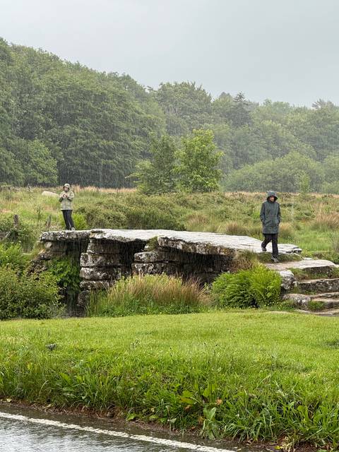 People walking on a stone bridge with greenery around.