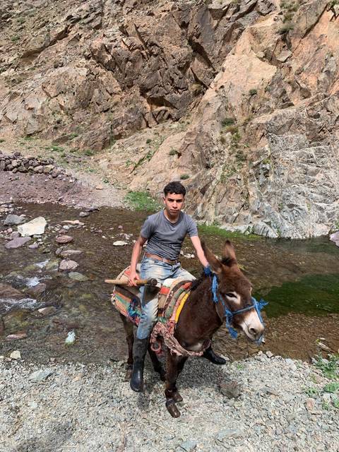 Person on a donkey crossing a rocky landscape.