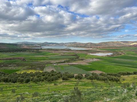 Vast green landscapes with lakes