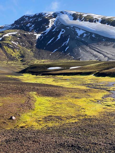 Snow-capped mountain peak with green mossy landscape.