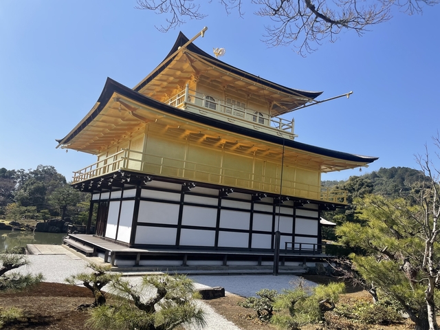 Golden pavilion reflecting in a pond surrounded by gardens.