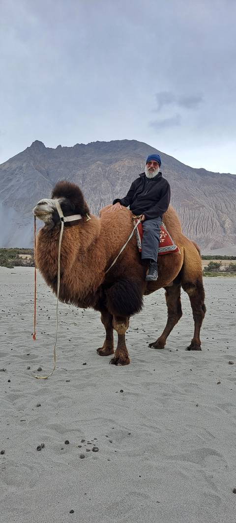 Person riding a camel on desert terrain.