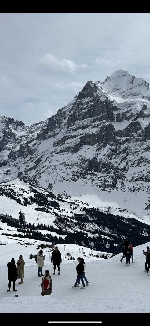 Mountain landscape with a snow-covered peak.