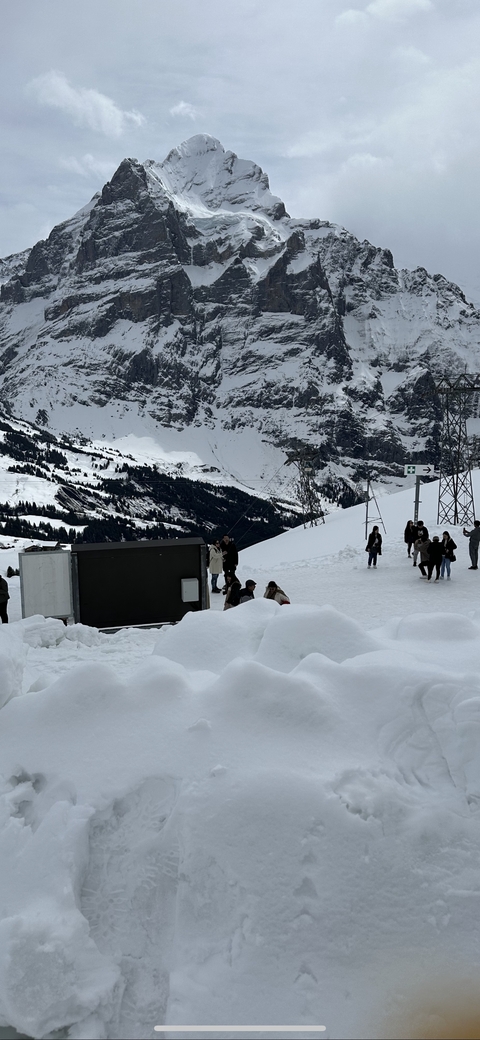 Group of people walking in a snowy landscape.