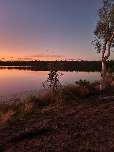 Sunrise over water with trees on the shore.