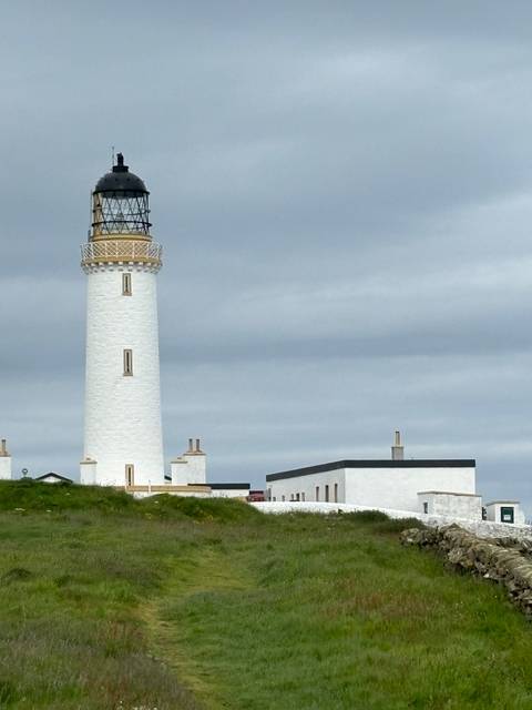 White lighthouse with a dark top on a grassy landscape.